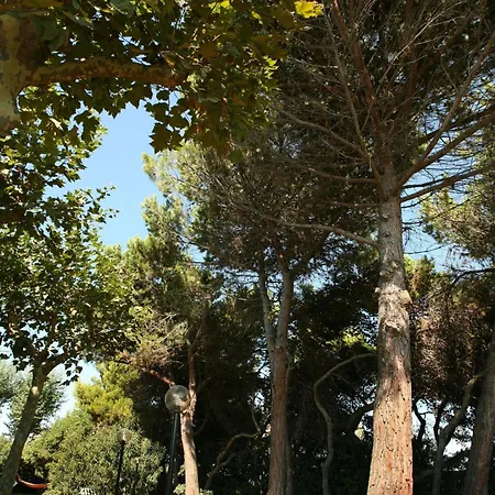 Frühstückspension Il Parco Dei Pini 3*