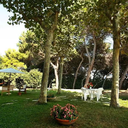 Il Parco Dei Pini 3* Giulianova