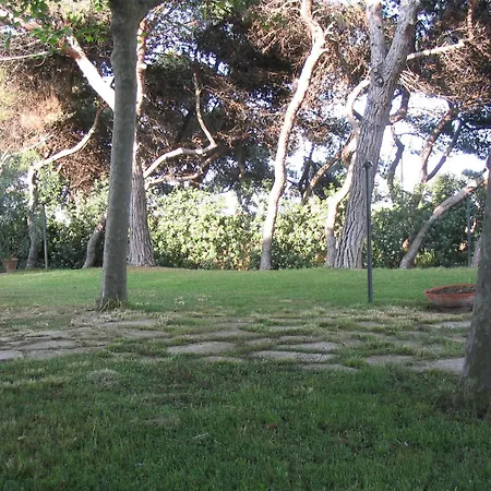 Il Parco Dei Pini Giulianova