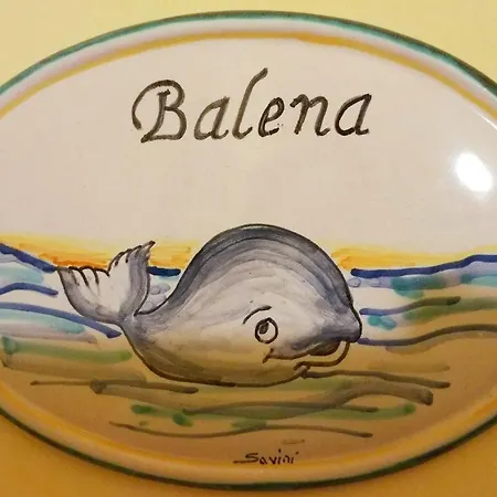 Il Parco Dei Pini 3* Giulianova