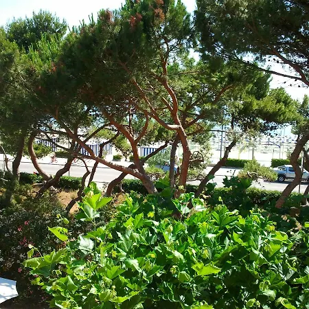 Il Parco Dei Pini לינה וארוחת בוקר ג'וליאנובה