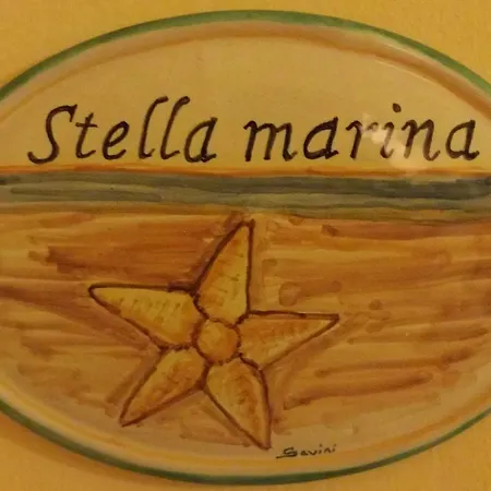 Il Parco Dei Pini Giulianova