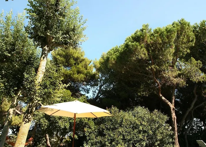 Bed & Breakfast Il Parco Dei Pini