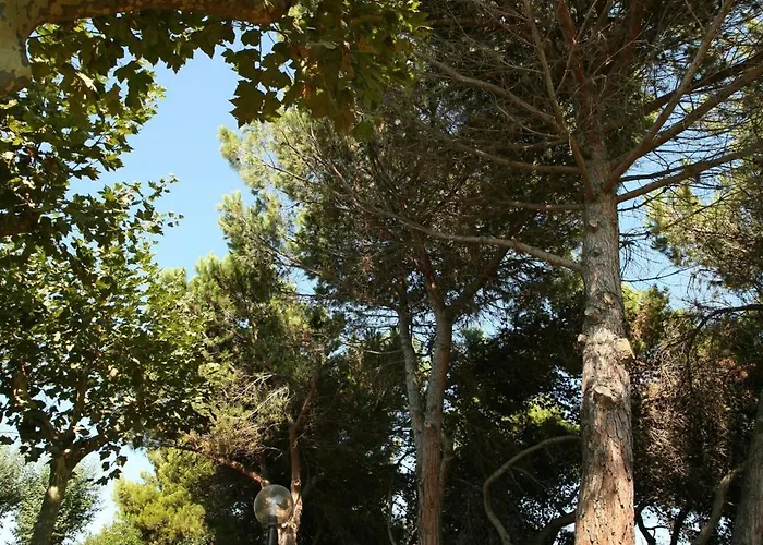 B&B Il Parco Dei Pini 3*