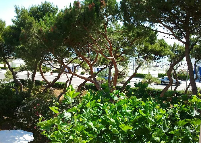 Il Parco Dei Pini Bed & Breakfast Giulianova